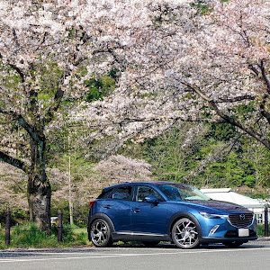 CX-3 DK5FW