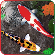 3D Koi Fish Live Wallpaper HD Fish Backgrounds Pro