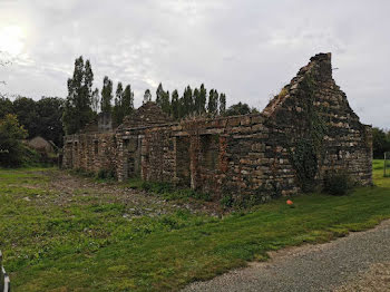 terrain à Saint-Vincent-des-Landes (44)