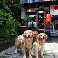 大漁炒泡麵寵物友善餐廳