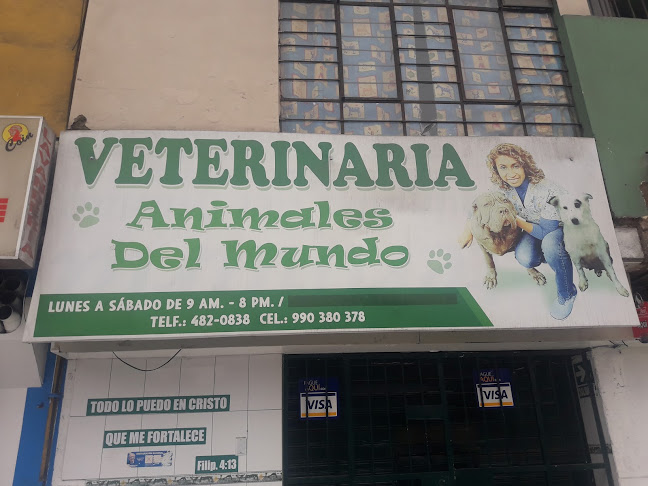 Veterinaria Animales del Mundo - Veterinario