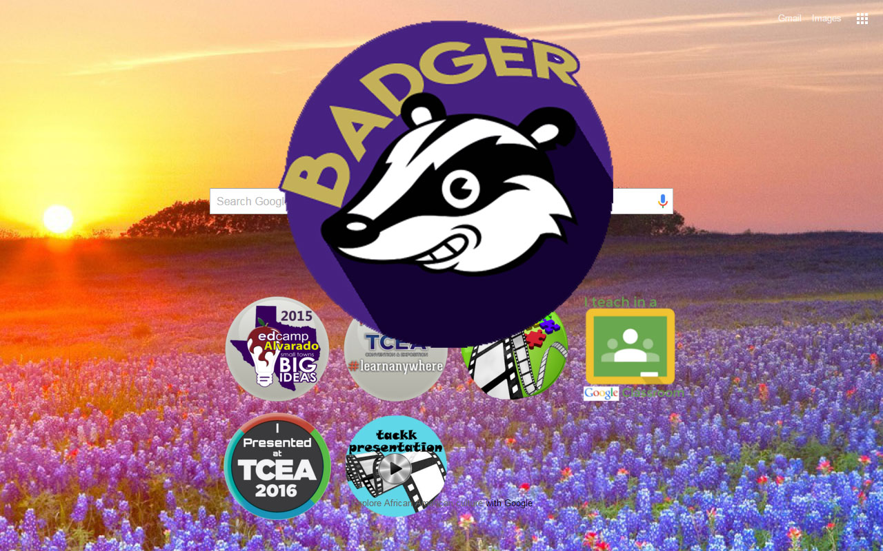 Indian Badger Preview image 3