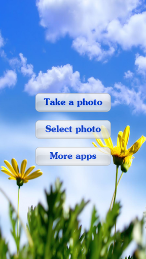 無料模拟Appのフォトフレーム-花|記事Game