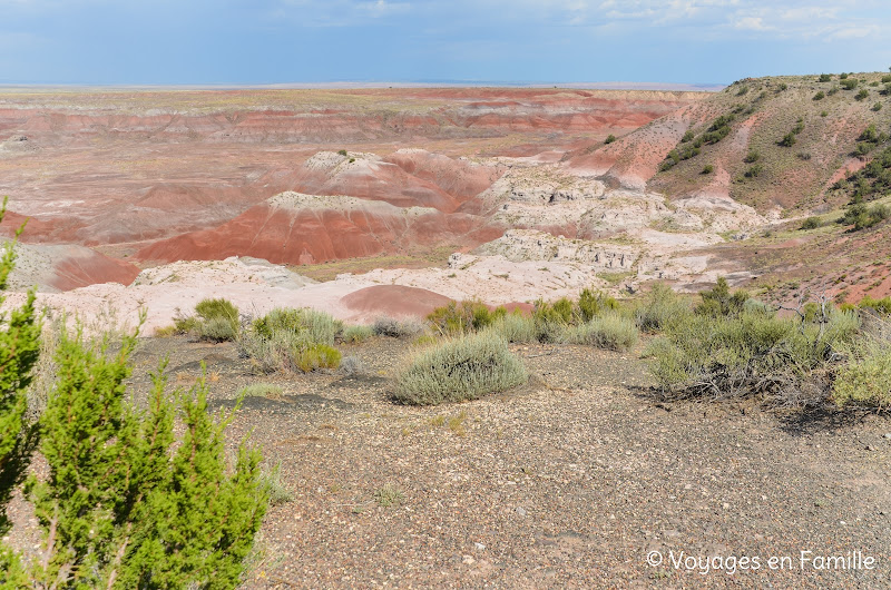 Kachina point