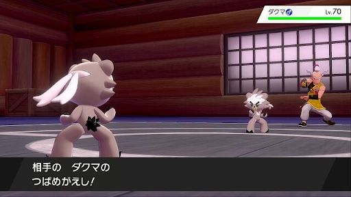 ポケモン剣盾 鎧の孤島ストーリー攻略チャート ポケモン剣盾 神ゲー攻略