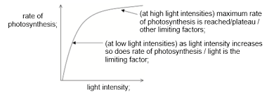 Solution Image