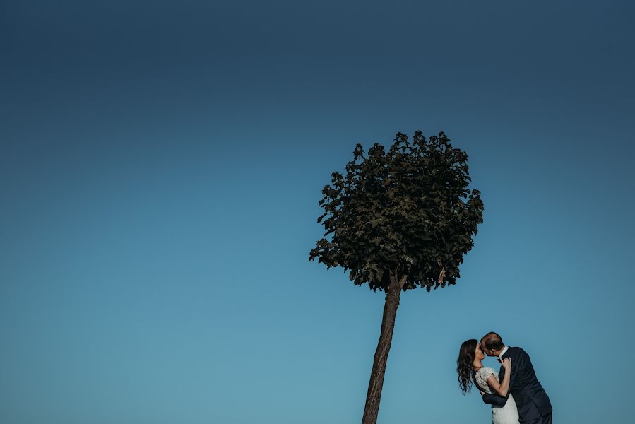 Fotografo di matrimoni Strahinja Babovic (babovic). Foto del 7 giugno 2019