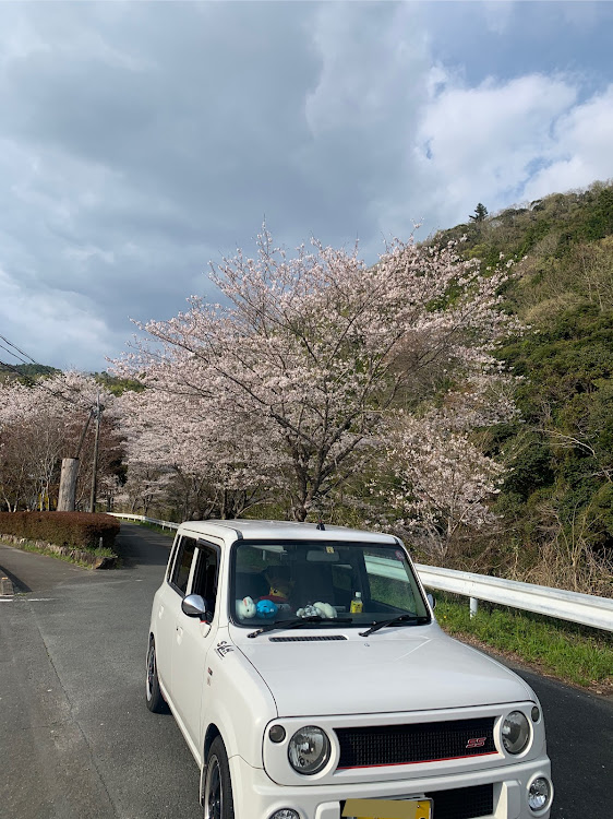 の投稿画像1枚目