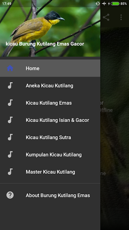 Download Kicau Kutilang Emas Gacor Mp3 Apk Latest Version 1 0 For