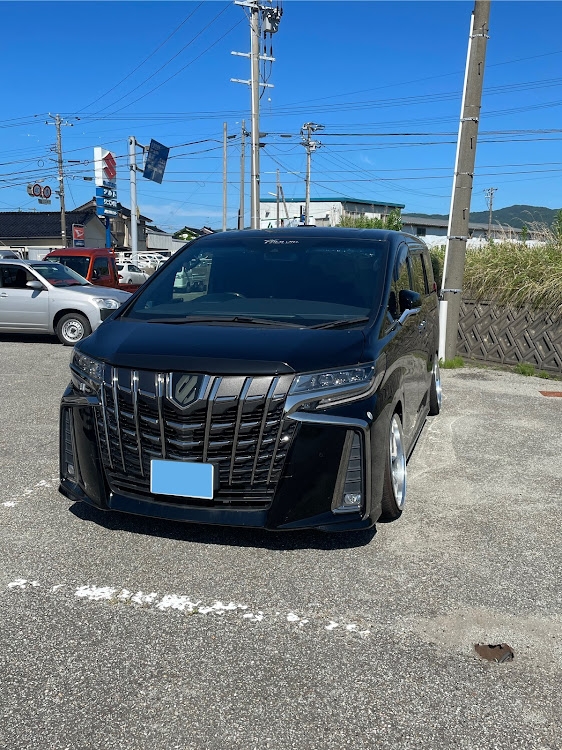 アルファードのT-DEMAND・純ベタに関するカスタム事例の投稿画像1枚目