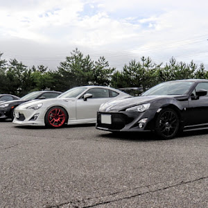 86 ZN6