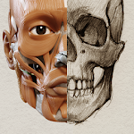 Cover Image of ダウンロード 3D Anatomy for the Artist 1.1.7 APK