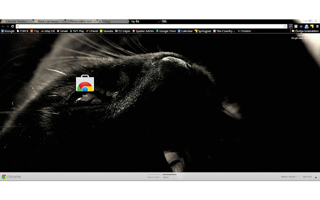 Black Cat theme chrome extension