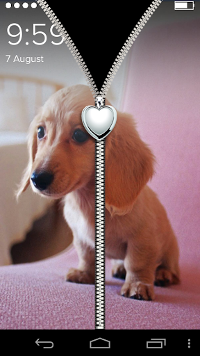 免費下載工具APP|Cute Brown Puppy Lock Screen app開箱文|APP開箱王