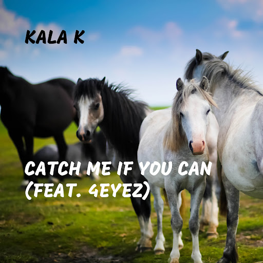 Catch Me If You Can (feat. 4Eyez) - YouTube Music