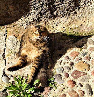 Per favore, non disturbatemi durante la mia toilette! di Inge