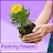 flowers : plant identifier icon