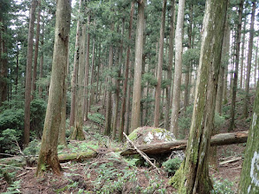 二重山稜に