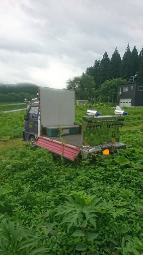 サンバー の畑作業 草ヒロ デコ軽トラ デコトラ風に関するカスタム メンテナンスの投稿画像 車のカスタム情報はcartune