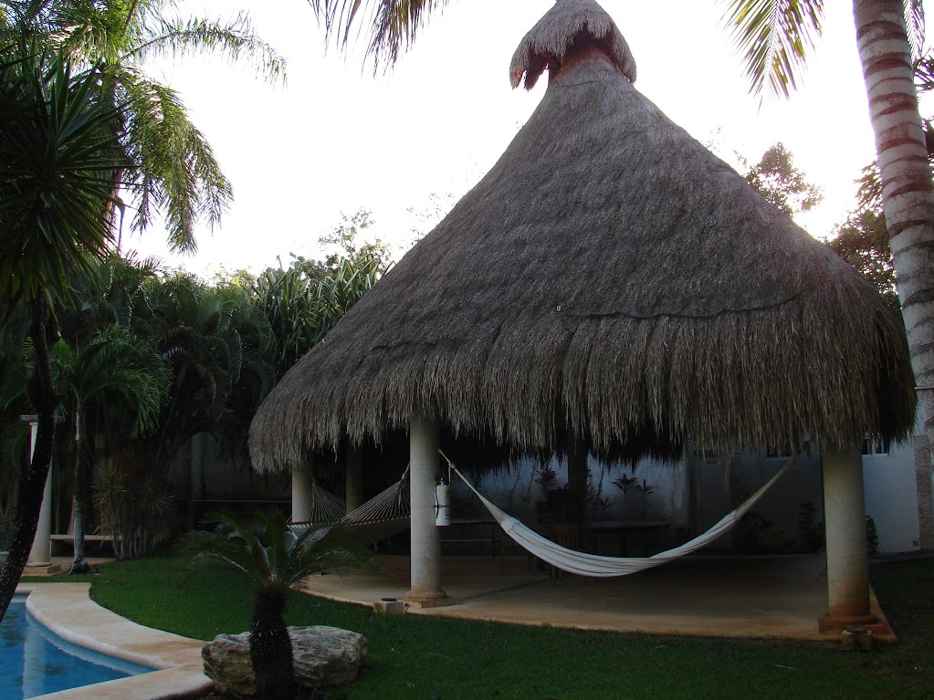 hotel palmeras cancun