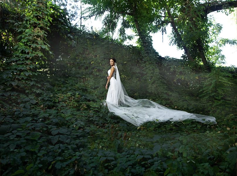 Photographe de mariage Anna Gresko (annagresko). Photo du 24 novembre 2015