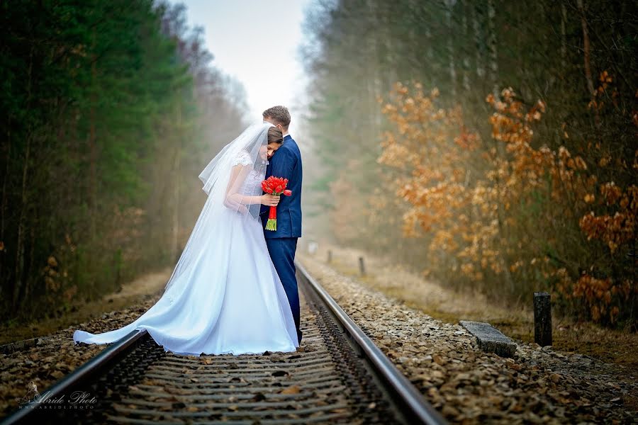 Wedding photographer Ludvík Danek (ludvik). Photo of 27 April 2019