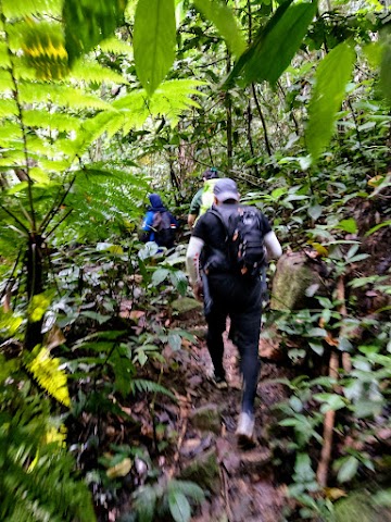 Gunung Nuang via Janda Baik Hiking Trail