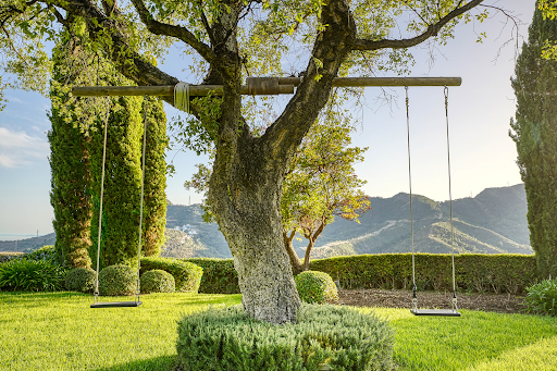 Maison avec jardin et terrasse 5
