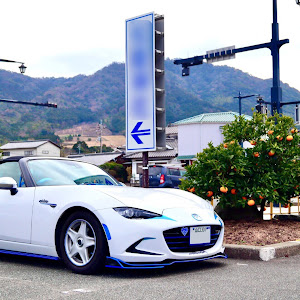 ロードスター ND5RC