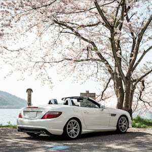 SLK R172