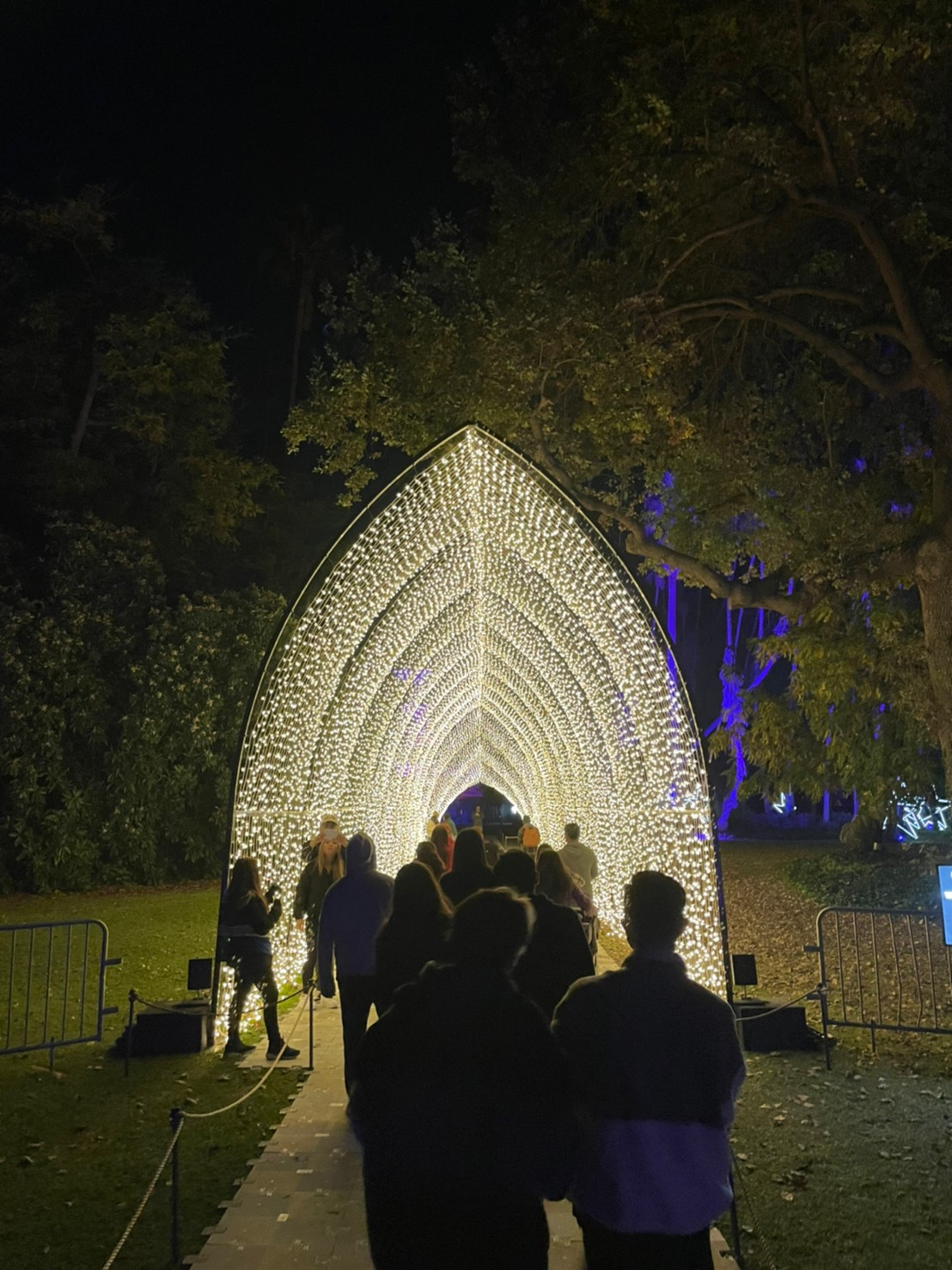 los angeles arboretum lightscape display lights