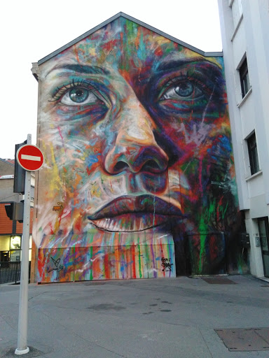 Fresque Urbaine David Walker