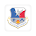 136th Airlift Wing icon