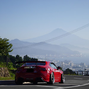 86 ZN6