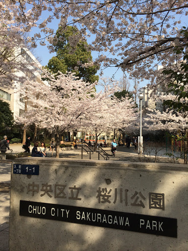 桜川公園