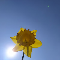 Uno spiraglio di luce....  di 