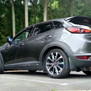 CX-3 DKEFW