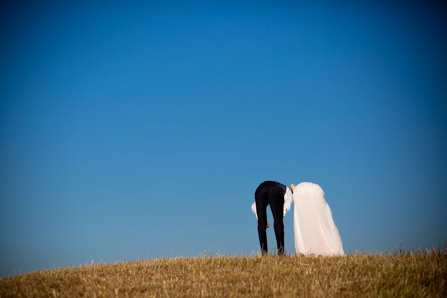 Fotografo di matrimoni Alice Franchi (franchi). Foto del 18 luglio 2018