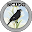 BICUDO Download on Windows