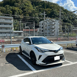 C-HR ZYX11