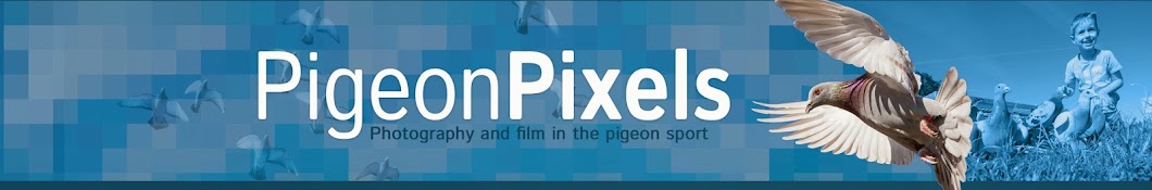 Pigeon Pixels Banner