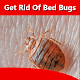 Download How To Get Rid of Bed Bugs For PC Windows and Mac 1.0.0