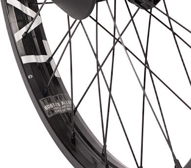 Eclat Trippin Real Wheel Rear Wheel - 20", 3/8" x 110mm, Rim Brake, Freecoaster alternate image 0