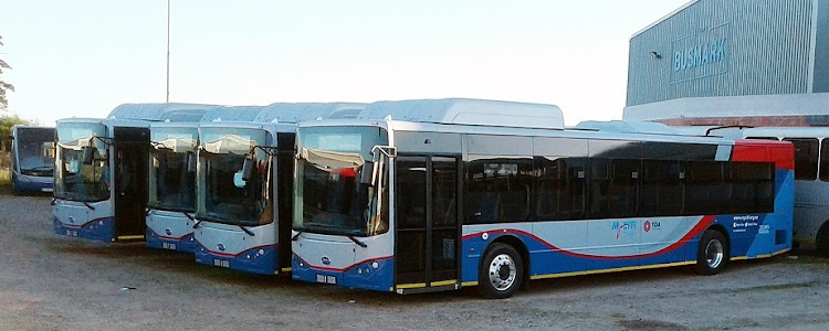 Electric buses built for the City of Cape Town have been languishing at a depot in Blackheath, Cape Town, for more than a year pending resolution of a wrangle about a tender awarded to Chinese firm BYD. Picture: DAVE CHAMBERS