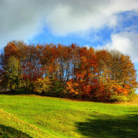 AUTUNNO DI COLORI di 