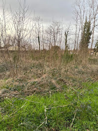 terrain à Saint-Denis-de-Pile (33)