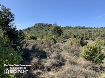 terrain à Durban-Corbières (11)