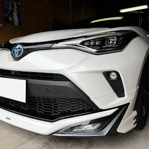 C-HR ZYX11