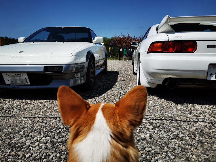 RX-7の関西舞子サンデー・犬tuneに関するカスタム事例の投稿画像17枚目
