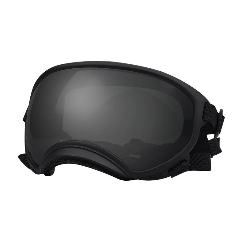 Modische Ski-Sonnenbrille für mittelgroße und große Hunde. Schützen Sie die Augen Ihres Hundes stilvoll vor Sonne, Wind und Schnee.